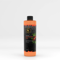 Shampoing Carnauba Voiture - Flashcar Cosmetic Carnauba Car 500ML